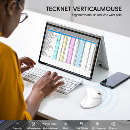 Vertical Ergonomic Double Mouse