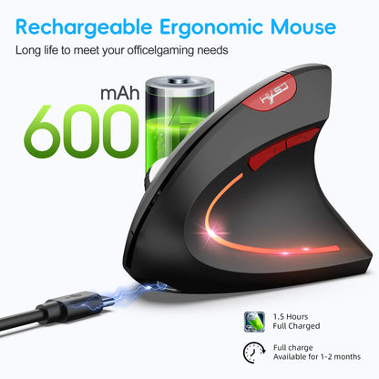 Vertical Ergonomic Double Mouse