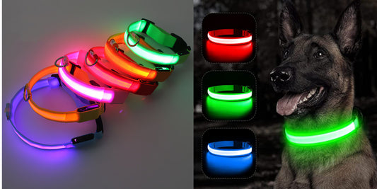 LED Guide for Night Walks