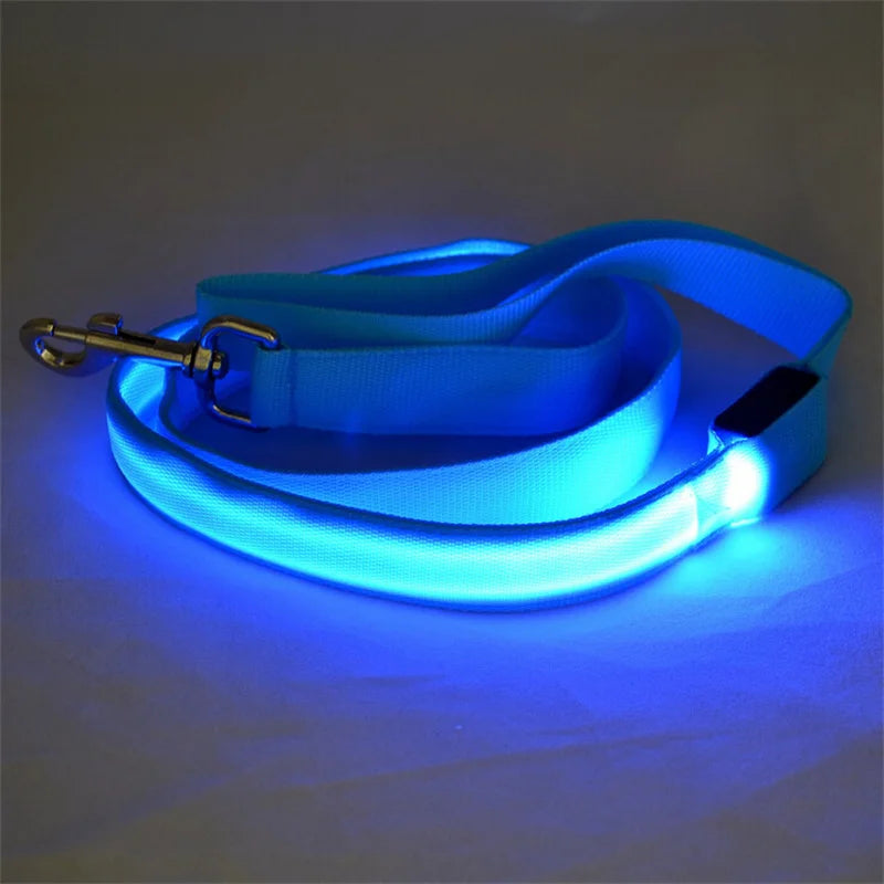 LED Guide for Night Walks